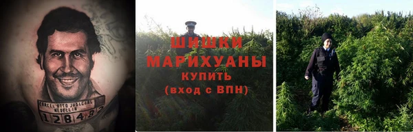 прущий лед Осинники