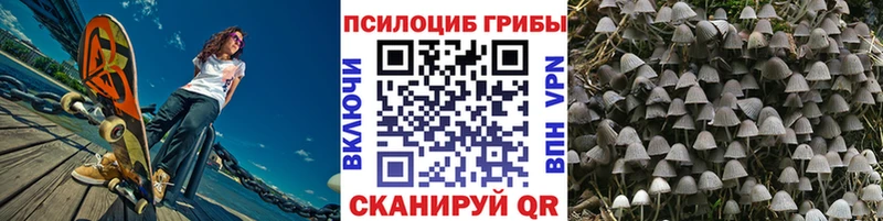 Галлюциногенные грибы Psilocybine cubensis купить цена Воронеж