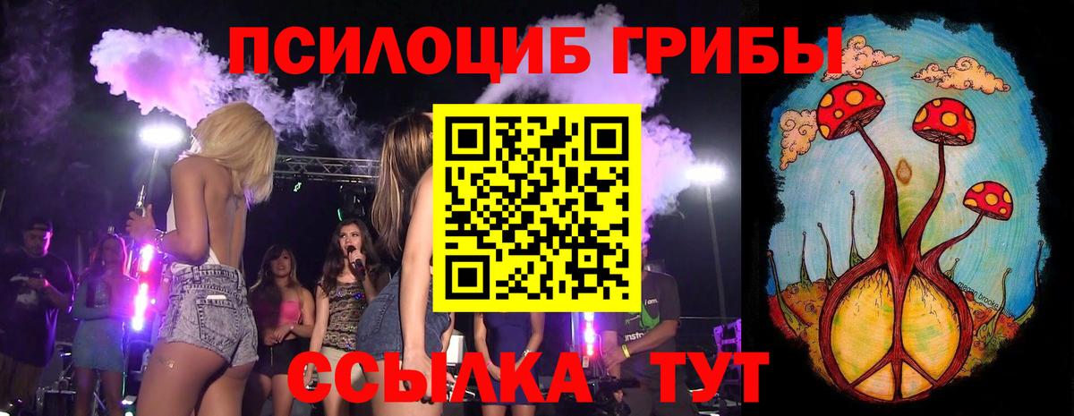 Воронеж  Псилоцибиновые грибы MAGIC MUSHROOMS  Вход с VPN 