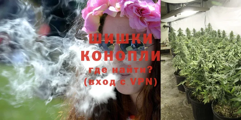 Бошки марихуана Ganja  Воронеж 